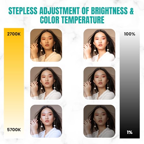 Eloies® Bi-Color LED Video Soft Light 2 Panel Kit