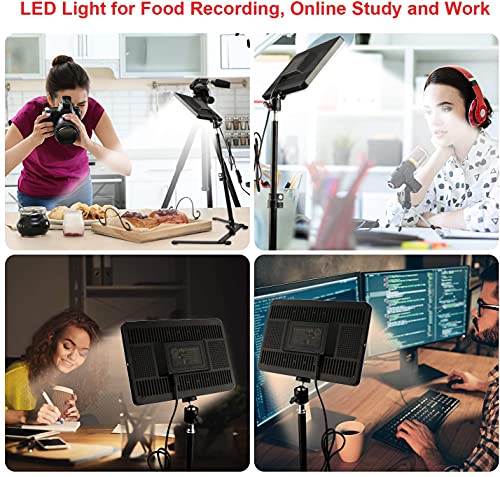 Eloies® Bi-Color LED Video Soft Light 2 Panel Kit